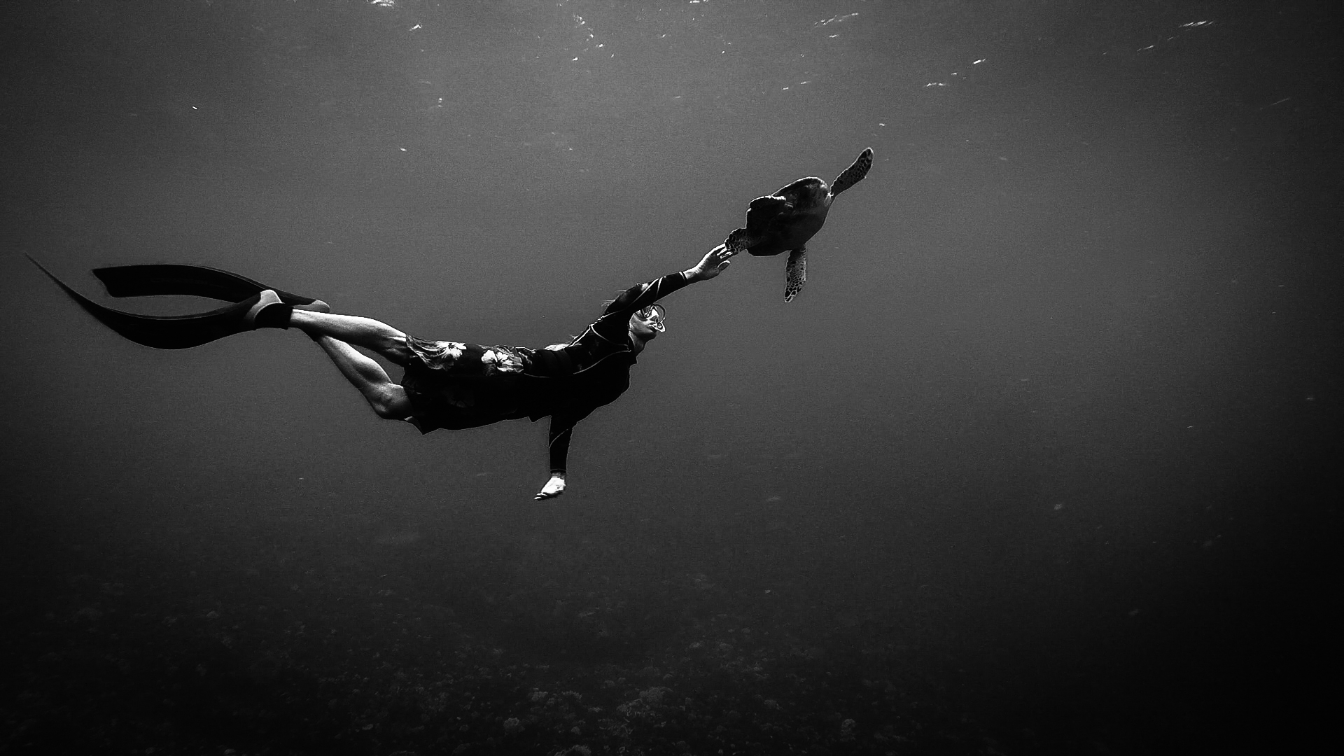 freedive-21 – •way•up•down•